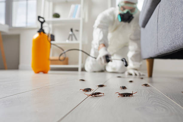 Commercial Kitchen Cockroach Control in Beechwood Trails